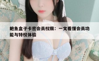 鲍鱼盒子卡密会员权限：一文看懂会员功能与特权体验